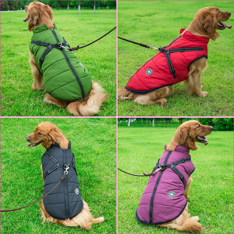 Dog Vest with Built-In Harness