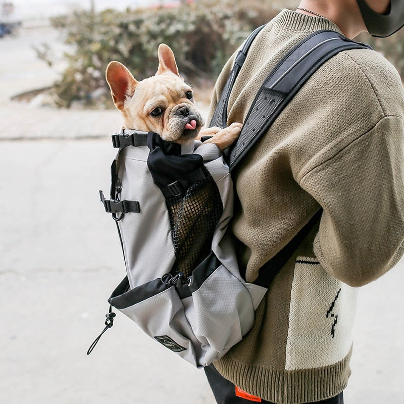 Dog Backpack Carrier